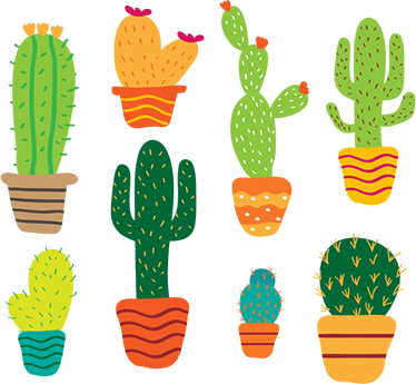Tapis vinyle fleurs et plantes cactus colorés - TenStickers