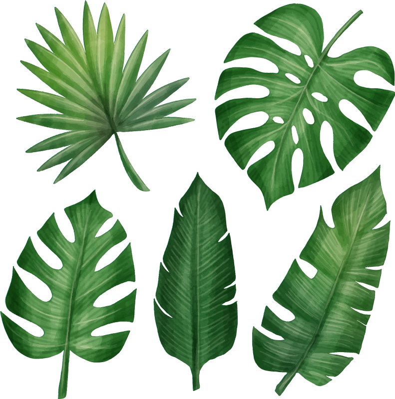 Tapis vinyle fleurs et plantes feuillage tropical réaliste - TenStickers