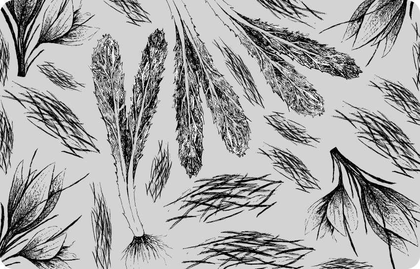 Tapis vinyle fleurs et plantes motif gris séché - TenStickers