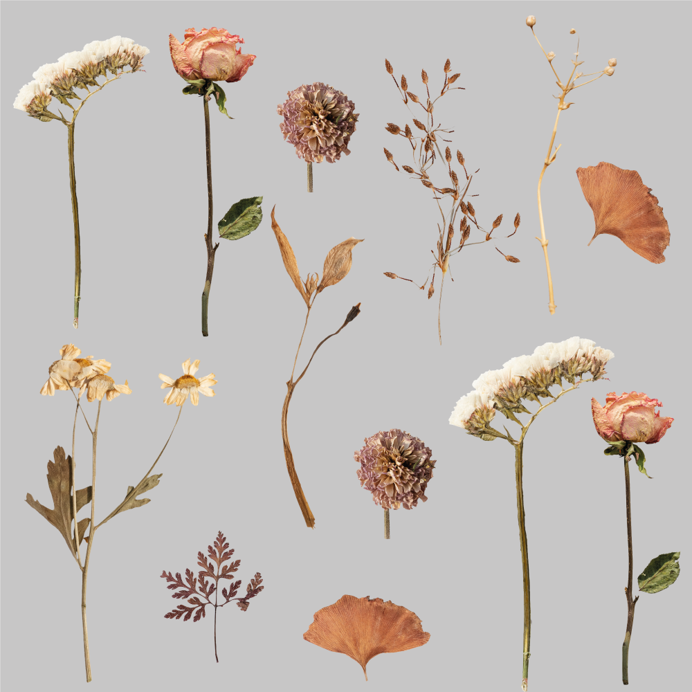 Tapis vinyle fleurs et plantes motifs fleurs séchées - TenStickers