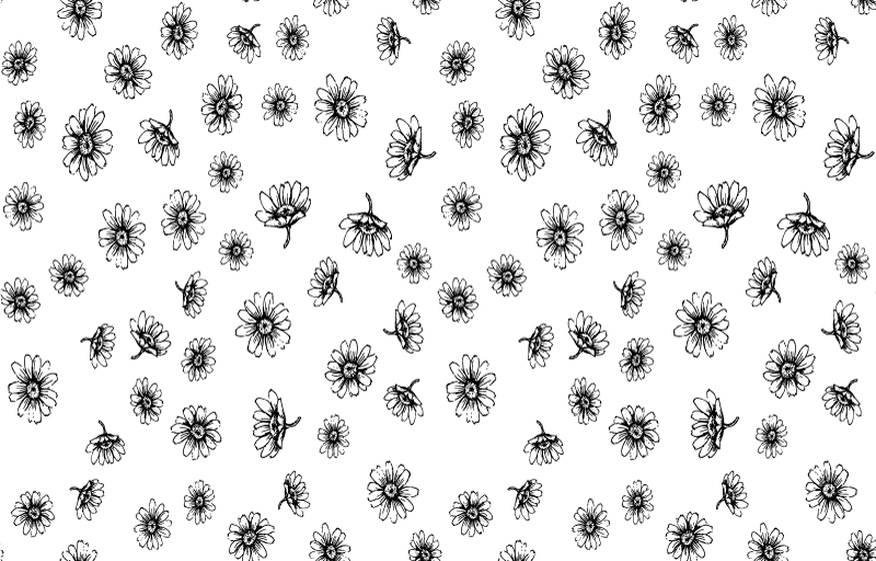 Tapis vinyle fleurs et plantes marguerites contour - TenStickers