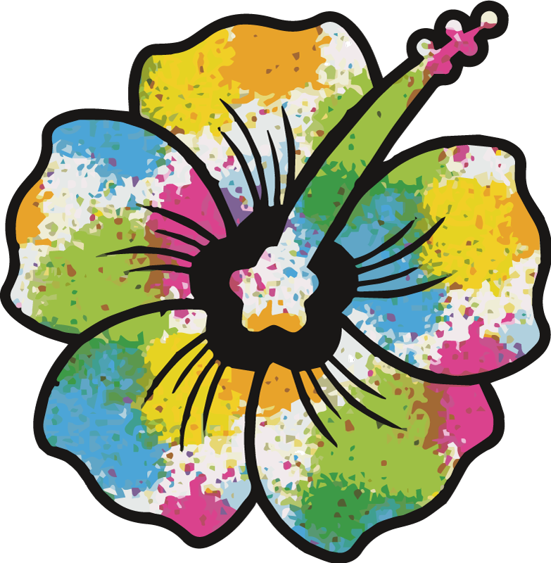 Tapis vinyle chambre fleur d'hibiscus colorée - TenStickers