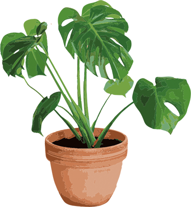 Tapis vinyle fleurs et plantes pot de monstera simple - TenStickers