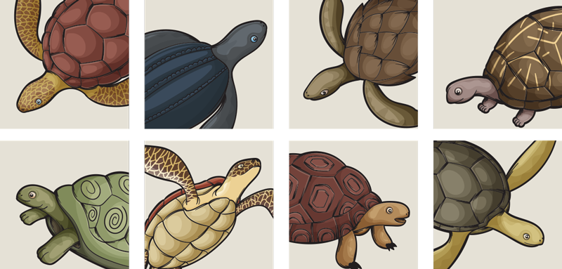 Tapis vinyle salle de bain carrelage tortues variées - TenStickers