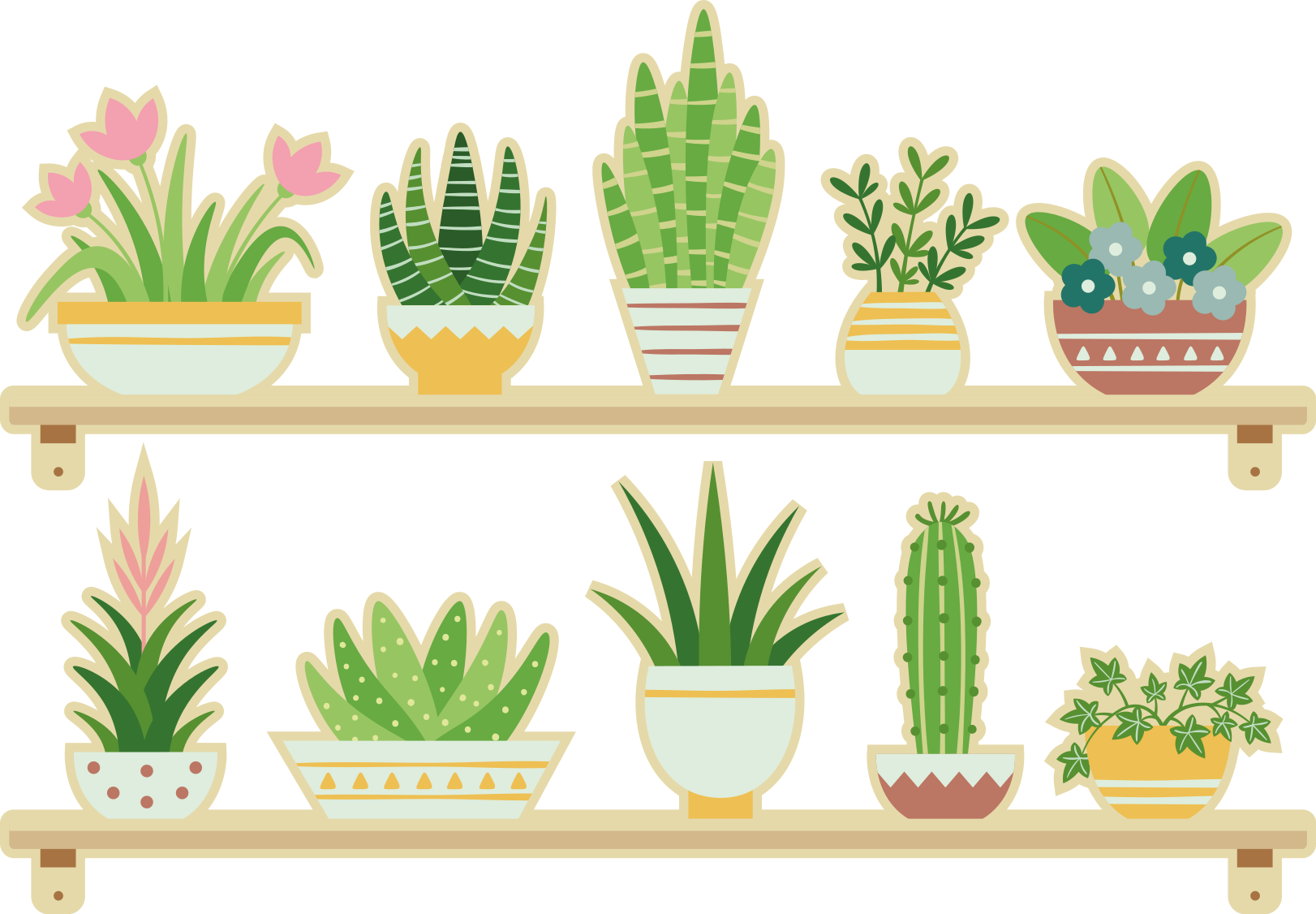 Tapis vinyle cuisine étagère à plantes cactus - TenStickers