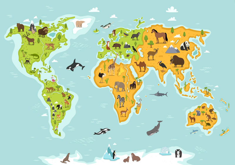 Tapis vinyle carte du monde faune et flore enfantine - TenStickers