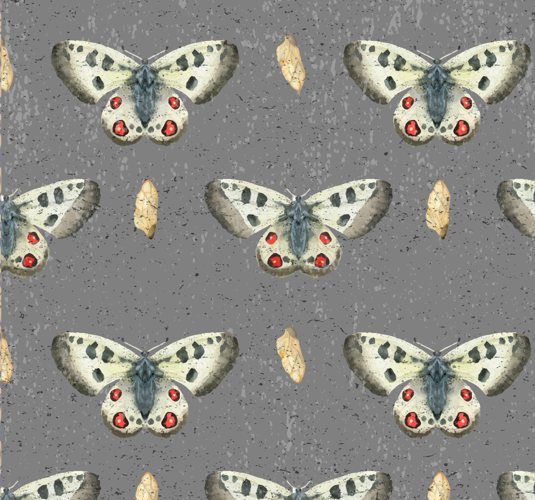 Tapis vinyle gris motif papillon simple - TenStickers