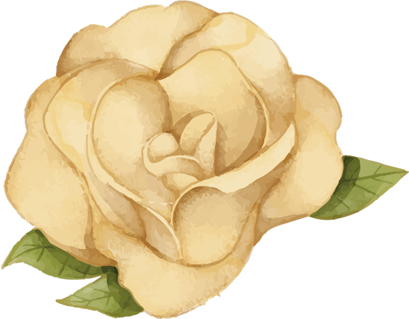 Tapis vinyle fleurs et plantes contour floral - TenStickers