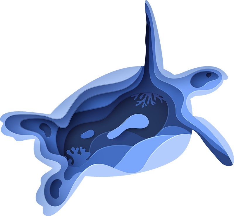 Tapis vinyle animal forme de tortue de mer - TenStickers