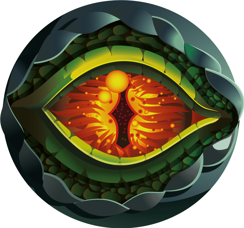 Tapis vinyle nature Œil de la nature abstrait - TenStickers