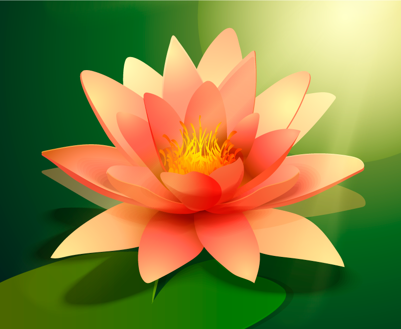 Tapis vinyle fleurs et plantes lotus en éclosion - TenStickers