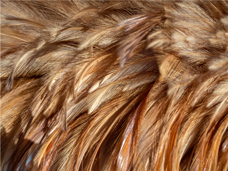 Tapis vinyle animal fourrure tourbillonnante - TenStickers