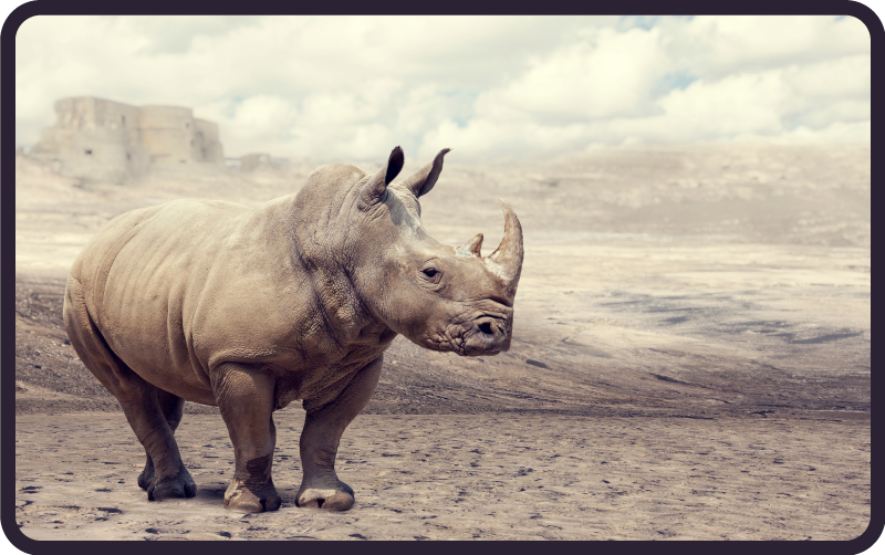 Tapis vinyle animal scène majestueuse du rhinocéros - TenStickers