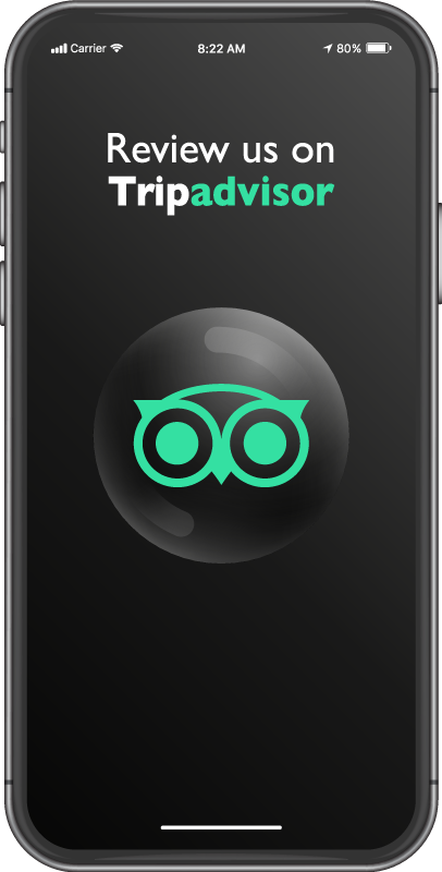 Tapis vinyle soldes donnez-nous votre avis sur tripadvisor - TenStickers