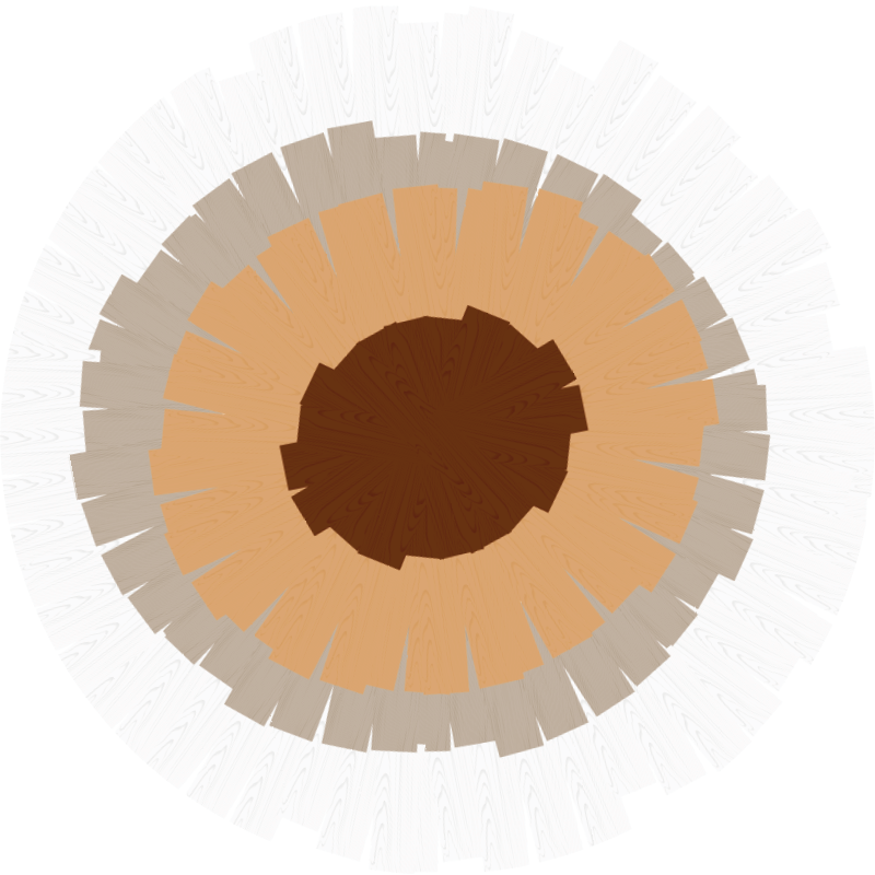 Tapis vinyle imitation parquet design tronc circulaire - TenStickers