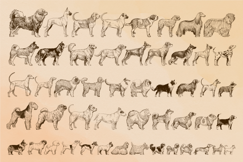 Tapis vinyle animal illustrations de chiens beiges - TenStickers