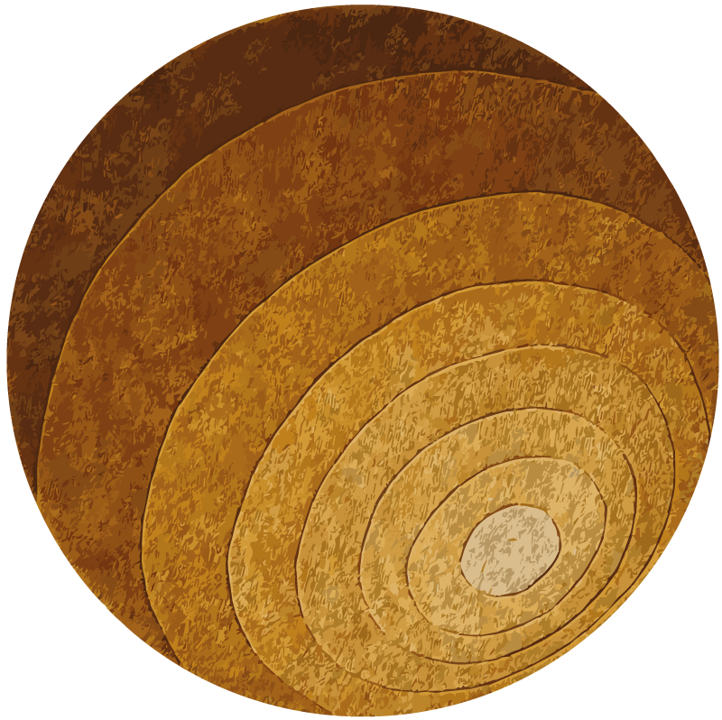 Tapis vinyle imitation parquet couches naturelles - TenStickers