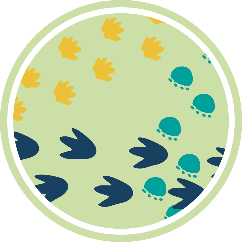 Tapis vinyle autres tapis empreintes de dinosaures - TenStickers