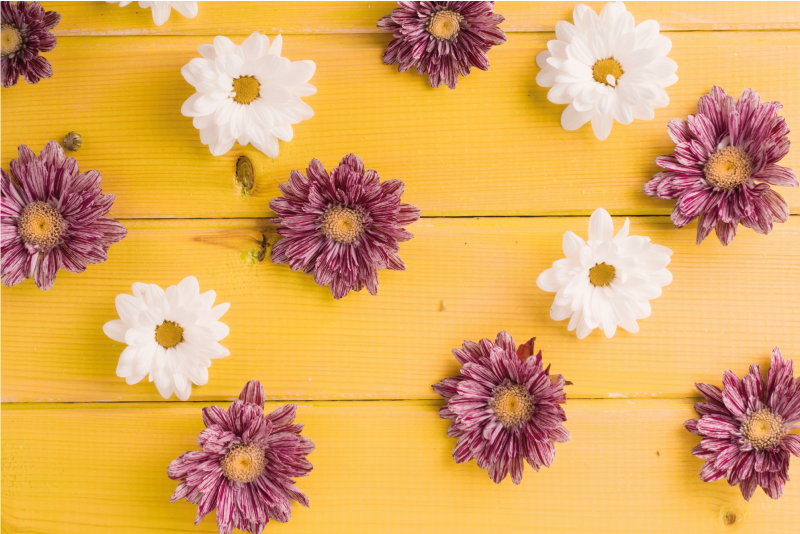 Tapis vinyle fleurs et plantes pétales roses et blancs - TenStickers