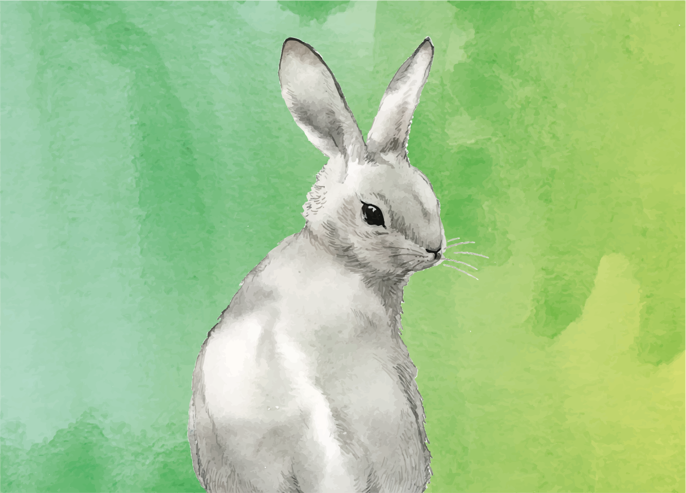 Tapis vinyle animal fond vert lapin - TenStickers