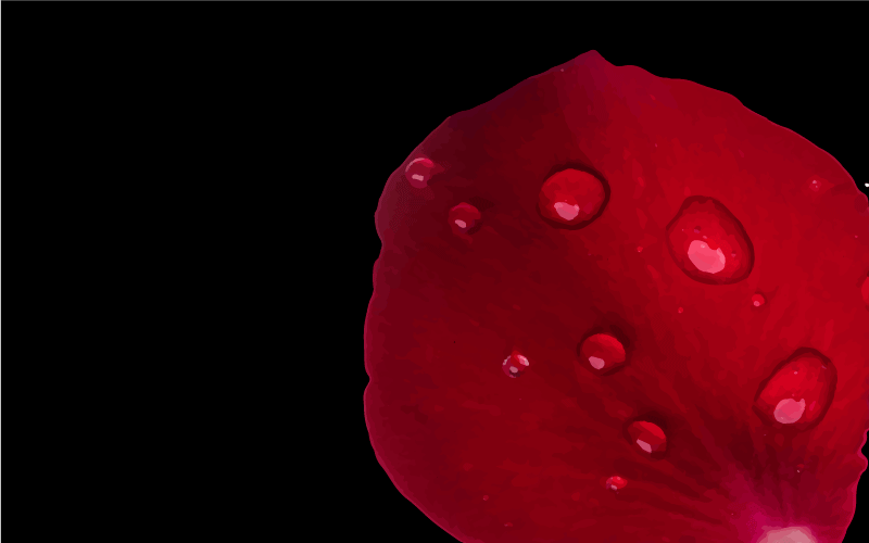 Tapis vinyle salon glamour des pétales rouges - TenStickers