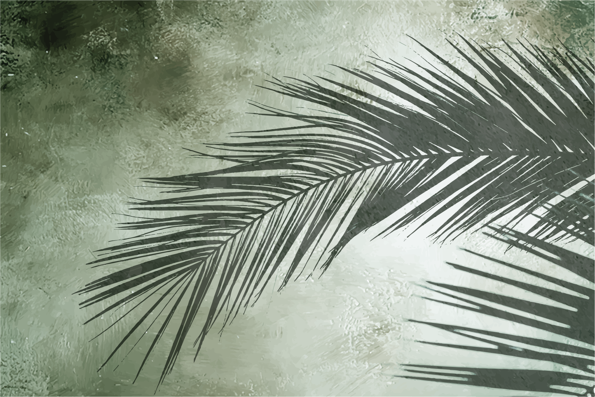 Tapis vinyle fleurs et plantes élégance feuillage palmier - TenStickers