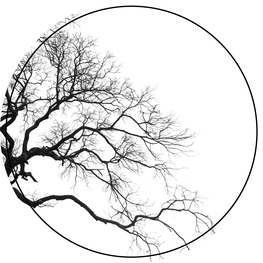 Tapis vinyle nature silhouette de branche - TenStickers