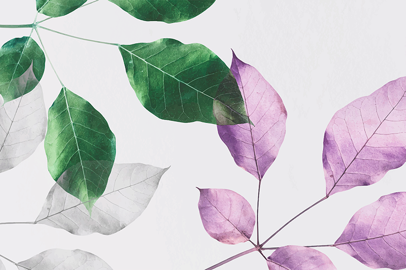 Tapis vinyle fleurs et plantes imprimés botaniques feuillus - TenStickers