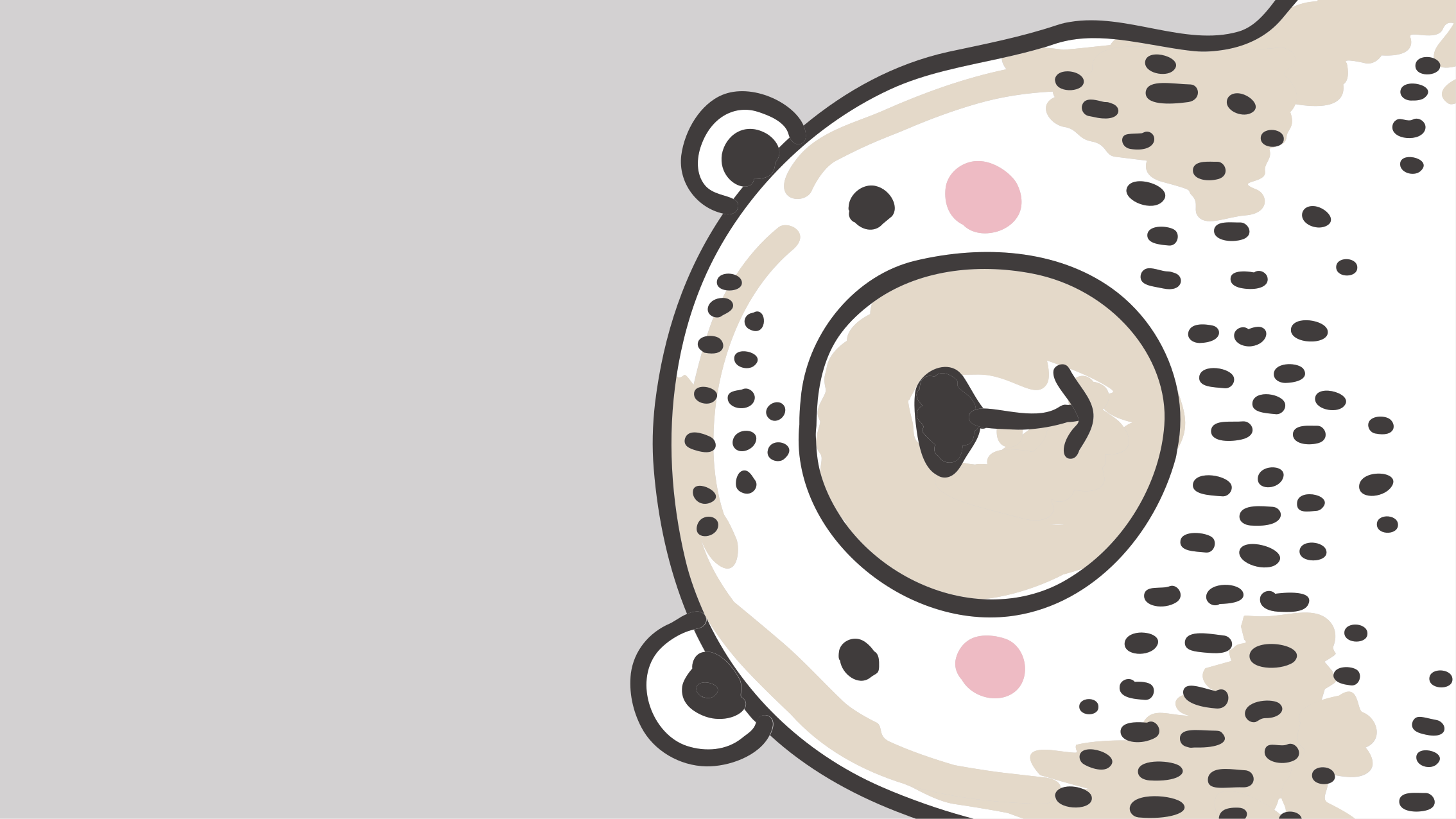 Tapis vinyle chambre bébé forme du visage d'un ours - TenStickers