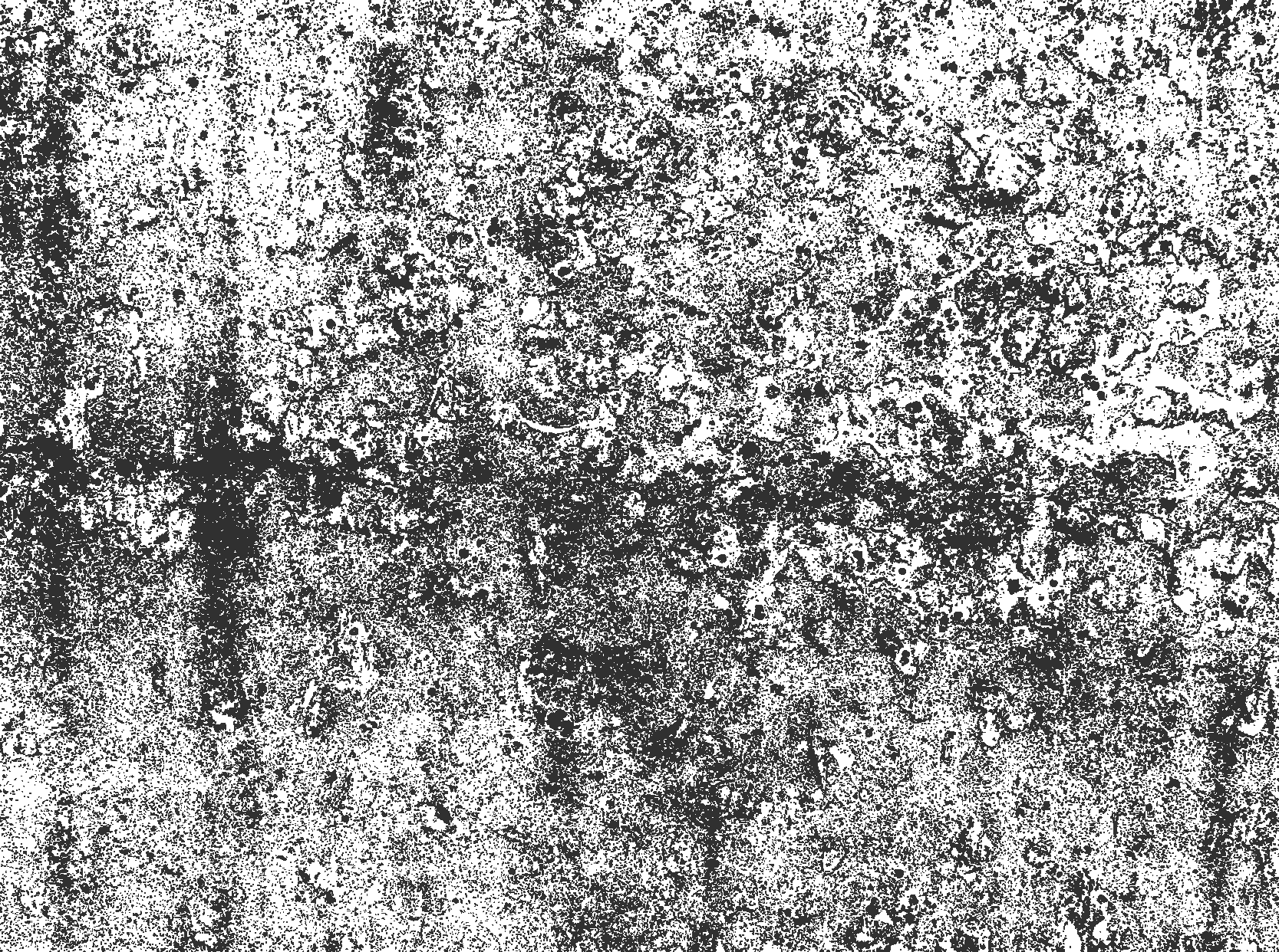 Tapis vinyle salle a manger gris délavé - TenStickers