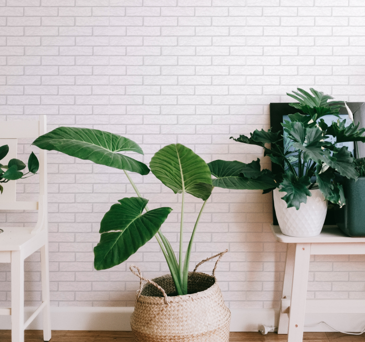 Papier peint brique blanche - TenStickers