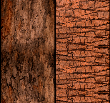 Papier peint bois texture bois naturel - TenStickers