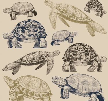 Papier peint chambre tortues beige - TenStickers