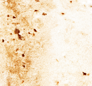 Papier peint effet marbre esthétique de la pierre naturelle - TenStickers